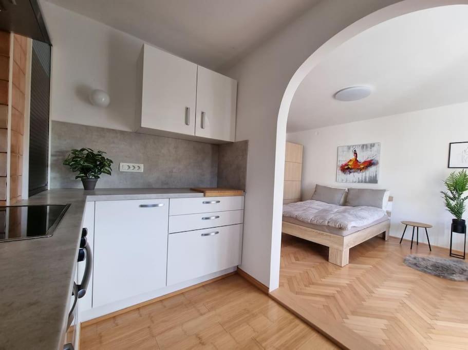 The Rowhouse Apartment Ljubljana - Free Parking Dış mekan fotoğraf